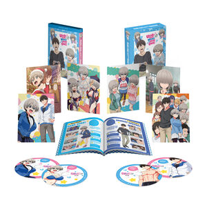 Uzaki-chan Wants to Hang Out! - Season 2 - Blu-ray + DVD - Limited Edition